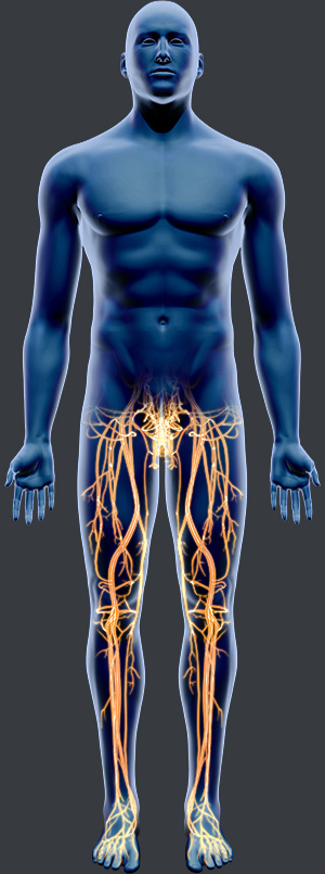 Peripheral Vascular
