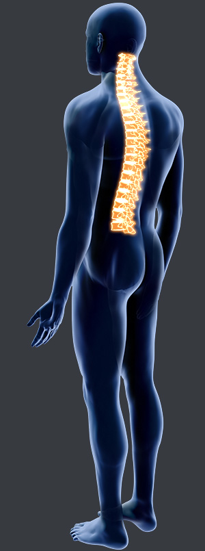 Orthopedic